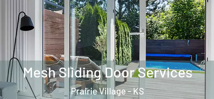 Mesh Sliding Door Services Prairie Village - KS